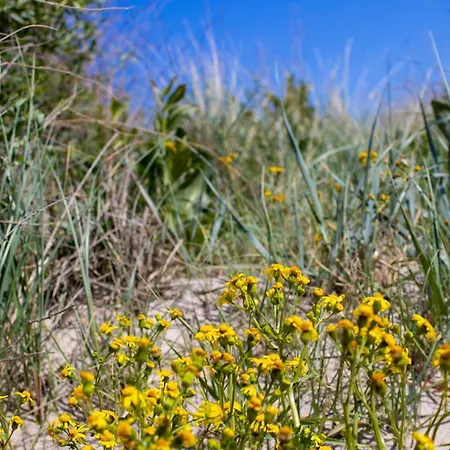 Prázdninový dům 8 Person In