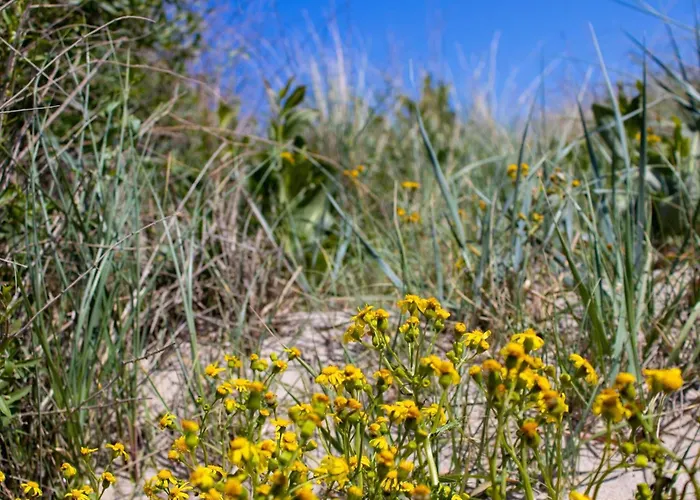 Prázdninový dům 8 Person In