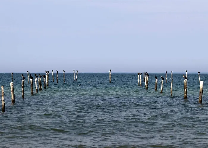 Prázdninový dům 8 Person In Nakskov